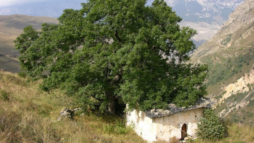 Дзуар Саниба, с. Архон