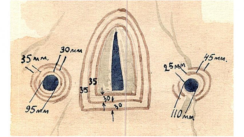 Орнамент на алтарной стене. Рис. И.А. Мамиева. 1948 г.